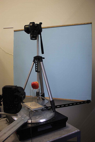 Figure 4. The imaging setup used to obtain the three orthogonal views of the object, in this case an apple. The camera is rotated around the turntable to capture the x-z and y-z projections. The tripod is placed on the turntable to capture the x-y projection, and then removed for horizontal image capture.