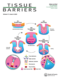 Cover image for Tissue Barriers, Volume 11, Issue 4, 2023