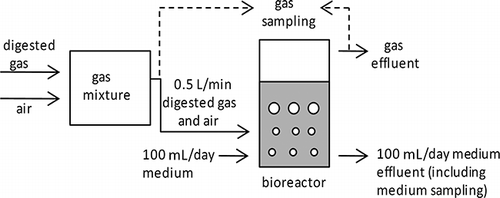 Figure 2. Schematic of H2S removal from anaerobically digested gas.