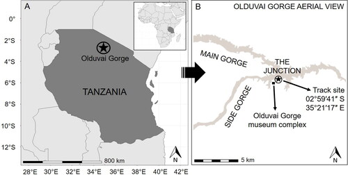 Figure 2. A. Olduvai Gorge, northern Tanzania. B. Olduvai Gorge, with the location of the fossil track site indicated by a star.