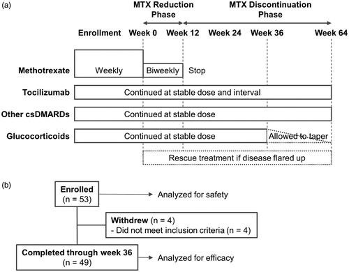 Figure 1. Study treatment and patient disposition. (a) Study treatment scheme. At week 0, the dosing frequency of methotrexate was decreased from weekly to biweekly without a change in dose regardless of the initial dose. At week 12, methotrexate was discontinued if low disease activity was maintained. (b) Patient disposition. csDMARDs: conventional synthetic disease-modifying antirheumatic drugs.