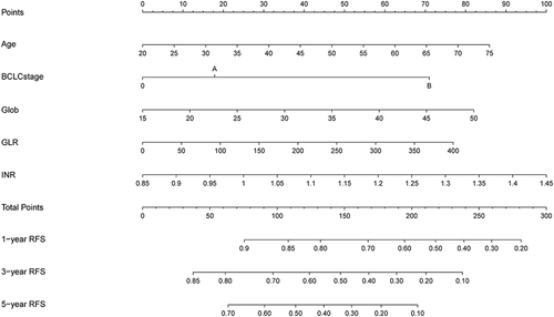 Figure 3 Nomogram, including Age, globulin, GLR, BCLC stage, and INR for 1-, 3-, and 5-year RFS in HCC patients with low levels of ALBI. The nomogram is valued to obtain the probability of 1-, 3-, and 5- years recurrence by adding up the points identified on the points scale for each variable.