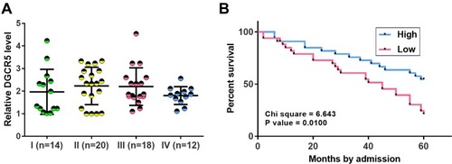 Figure 2 Low DGCR5 level in PC tissues was correlated with poor survival. One-way ANOVA and Tukey’s test were used to compare the expression level of DGCR5 among patients at different clinical stages (A). The 57 PC patients were divided into high (n=26) and low (n=31) DGCR5 groups using DGCR5 expression data in PC tissues according to Youden’s index. K-M method and log-rank t-test were used to plot and compare survival curves, respectively. Survival curve analysis showed that low DGCR5 level in PC tissues was correlated with poor survival (B).