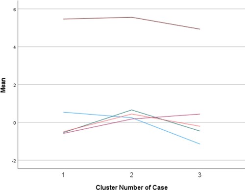 Figure 2. Satisfaction and cluster.