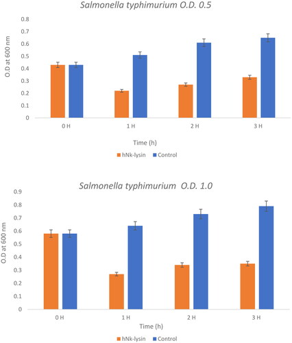 Figure 5. The bacterial lytic effect of 1x MIC bovine Nk-lysin peptide against Salmonella typhimurium (ATCC 14028) at different inoculum concentrations. Data presented as means (±SD) of three independent repeats in triplicate. (*p˂0.01 compared to control group).