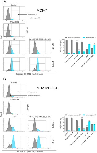 Figure 10. The activity of caspase 3/7 in MCF-7 (A) and MDA-MB-231 (B) breast cancer cells incubated with 3b (0.25 μM and 0.5 μM) in the absence and presence of Z-VAD-FMK (100 μM) for 24 h. Mean percentage values from three independent experiments done in duplicate are presented. ***p < 0.001 vs. control group.