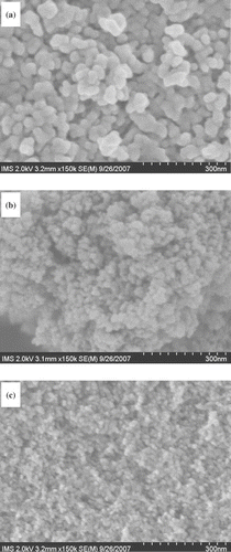 Figure 2. FE-SEM images of different catalysts. (a) TiO2; (b) TiO2–SiO2 and (c) N–TiO2–SiO2.