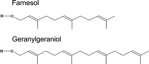Figure 1. Structure of the isoprenoids farnesol (FN) and geranylgeraniol (GG).