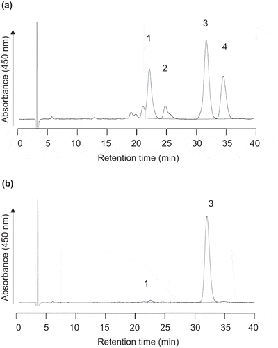 Figure 4. Typical geometric isomer profiles of β-carotene in the extracts from formulations. The extracts were prepared from EM-β-carotene (a) and CR-β-carotene (b), respectively, and then analyzed by HPLC with a C30 column. Peak 1, 15-cis; peak 2, 13-cis; peak 3, all-trans; peak 4, 9-cis.