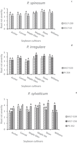 Fig. 6 (Continued).