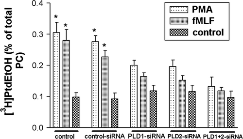 Figure 3.  Decreased PLD activity in HT29 cells after siRNA transfection. After 96 h of post-transfection, HT29 cells were incubated in a serum-free medium containing 2% ethanol and exposed to either 1 µM PMA or fMLF for 30 min at 37°C. PLD activity was determined as described in Material and methods. Note that PMA and fMLF increased PLD activity. The PMA- and fMLF mediated stimulation of PLD activity was blocked by PLD1 and 2 siRNA. Values represent mean±SD from four independent experiments. An asterisk indicates a significant difference (*, p<0.05) compared to a control using ANOVA followed by the Bonferroni test.