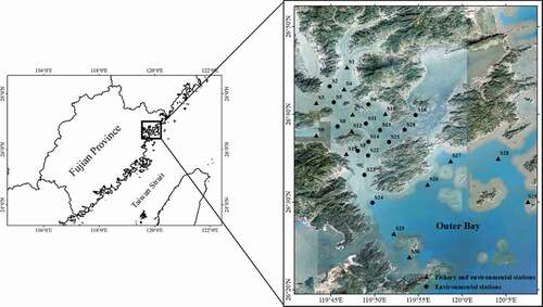 Figure 1. Sampling sites for the fishery and environmental investigation in Sansha Bay. Triangle: fishery and environmental stations, circle: environmental stations