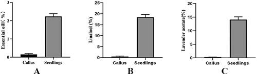 Figure 2. Comparison of different essential oil contents between callus and tissue culture seedlings of Lavandula angustifolia. p < 0.05.Note: Callus: Callus in tissue culture; Seedling: Tissue Cultured Seedling.