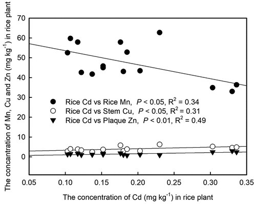 Figure 10. Correlation between concentrations of Cd in brown rice and the concentrations of Mn in brown rice, Cu in stems, and Zn in iron plaque of rice plants grown in Cd-contaminated soil.