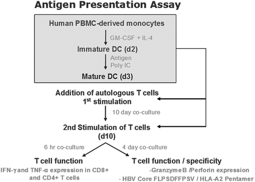 Figure 2. Antigen Presentation Assay (APA) schematic.