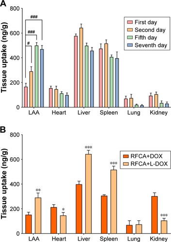 Figure 4 Plots of bio-distribution.Notes: (A) Plots of DOX bio-distribution in rabbits receiving RFCA+L-DOX. The rabbits were sacrificed on different days after intravenous drug administration, as indicated. (B) Plots of DOX bio-distribution in rabbits in the RFCA+DOX group and RFCA+L-DOX group on the second day after intravenous drug administration. “Heart” refers to the other parts of the heart aside from the LAA. #P<0.05, ###P<0.001 vs 1 day after intravenous administration. *P<0.05, **P<0.01, ***P<0.001 vs free DOX treatment. n=5 per group, data are presented as means ± SD.Abbreviations: DOX, doxorubicin; L-DOX, liposomal doxorubicin; LAA, left atrial appendage; RFCA, radiofrequency catheter ablation.