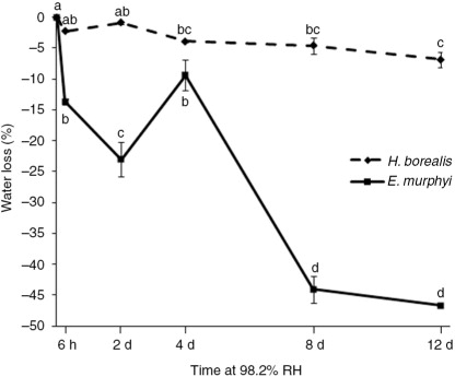 Fig. 1  Percentage water loss or gain of larvae of H. borealis and E. murphyi following exposure to 98.2% relative humidity (RH) for 6 h, 2 days, 4 days, 8 days and 12 days. Means±standard error of the mean are presented for three replicates of 10 individuals. Means with the same letter are not significantly different within each species group at p<0.05 (Tukey's multiple range test).