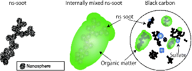 FIG. 5. Schematic images of (left) ns-soot, (center) internally mixed ns-soot particle, and (right) an ensemble of particles, the total absorption of which would be referred to as from BC when measured with an aethalometer. The aggregated, black layered spherules indicate ns-soot, are evident as faint spherules within the large particle in the center part.