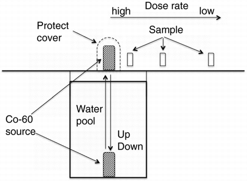 Figure 1 Schematic layout of the 60Co gamma-ray source and samples