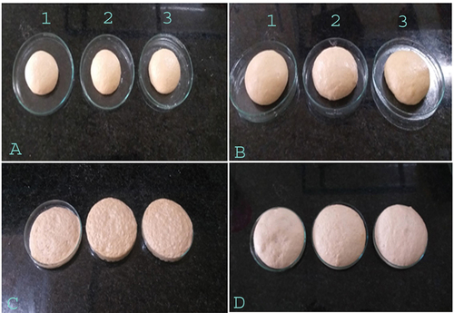 Figure 3. Observations of dough and baked bread after the addition of cellulase and a combination of cellulase and amylase.