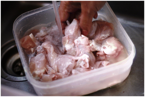 Figure 1. Nazra Habib washing chicken.