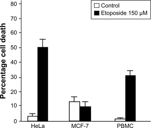 Figure S2 Cell death induced by etoposide in HeLa, MCF-7, and PBMC after 24 hours of treatment.Notes: Cell death was measured by flow cytometry through AnnV and PI staining in HeLa, MCF-7, and PBMC treated with etoposide for 24 hours. Data were then analyzed and graphed.Abbreviations: AnnV, Annexin-V; PBMC, peripheral blood mononuclear cell; PI, propidium iodide.