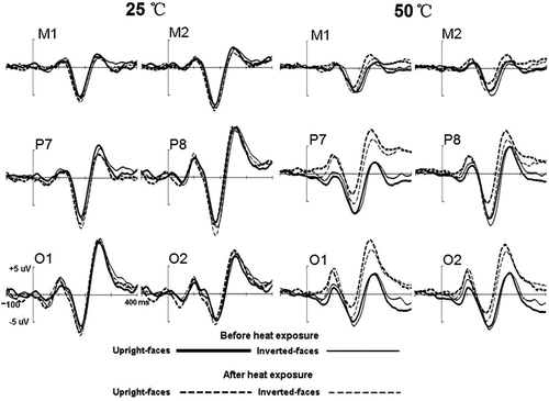 Figure 4. The grand-averaged waveforms elicited by upright and inverted face stimuli before and after 1 h exposure in the heat and control groups, respectively.