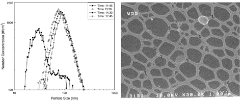 FIG. 7 (a) Size distributions measured with the DMA at Mernic on 31 July 2002. (b) Electron micrograph of numerous small spheres collected at the Mernic site.