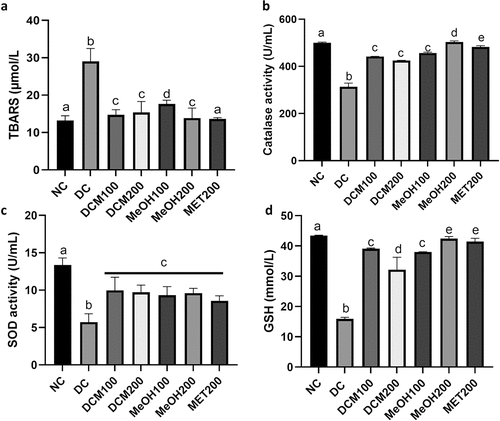 Figure 5. Effects of Euclea natalensis leaf extracts on plasma TBARS (a), CAT (b), SOD (c) activity, and GSH (d) of diabetic rats. The results are the mean (n = 5) ± standard error (SE). Bars with different letters (a, b, c, d) are significantly (p < 0.05) different. NC: negative control; DC: diabetic control; DCM: dichloromethane-methanol (1:1) extract at 100 and 200 mg/kg bw; MeOH: 70% methanol extract at 100 and 200 mg/kg bw; MET200: metformin at 200 mg/kg bw.