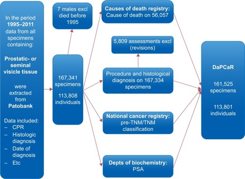 Figure 1 Flowchart showing the integration process of data from multiple national registries into the DaPCaR.