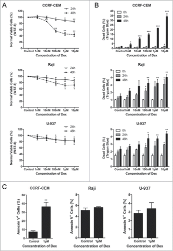Figure 1. Dex inhibits cell proliferation in CCRF-CEM, Raji and U-937 cells. (A) CCRF-CEM, Raji and U-937 cells were treated with increasing concentrations of Dex for 24 and 48 h, and cell viability was determined by WST-8 assay. Error bars represent the standard errors of 3 independent experiments. (Dex vs. control: *P < 0.05, **P < 0.01) (B) Cells were treated with the indicated concentrations of Dex for the indicated times, and the percentage of dead cells was measured by trypan blue exclusion assay. (Dex versus control: *P < 0.05, **P < 0.01, ***P < 0.001) (C) Cells were treated with or without 1 μM Dex for 48 h. The percentage of apoptotic cells was determined by Annexin V-PI staining followed by FACS analysis. Values represent the means ± SD of 3 independent experiments. (Dex vs. control: **P < 0.01)