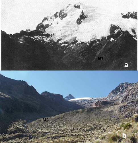 Figure 4. Examples of recessional moraines from the LIA in Humboldt Peak. (A) A 1910 photograph by Jahn (Jahn Citation1925) of the northern face, La Verde valley. (B) A 2019 photograph of the northwest face, Las Cascadas valley by L.D. Llambí. Labels M1, M2 correspond to those of the map in Figure 7