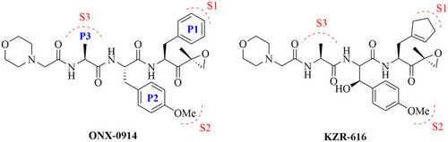 Figure 12 Immunoproteasome selective inhibitors ONX-0914 and KZR-616.