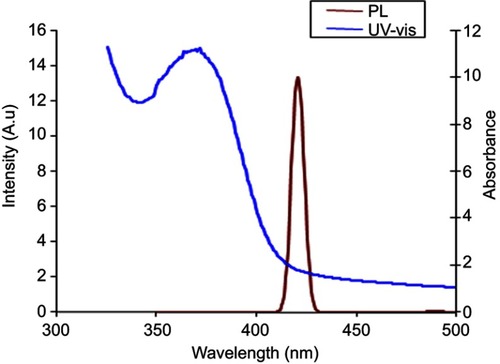 Figure 2 UV-vis and PL spectra of AgNPs@PPE.Abbreviations: PL, photoluminescence; UV-vis, ultraviolet-vis spectrophotometry.
