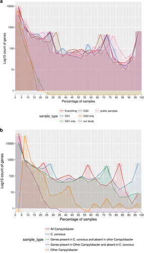 Fig. 4 a Pangenome summary of all C. concisus used in this study. The figure displays the number of genes found to be shared across a certain percentage of samples in different groupings of isolates. This figure uses a bin size of 5% on the x-axis. GS Genomospecies, and b Pangenome summary of all Campylobacter. This was produced by carrying out pangenome analysis of all the C. concisus isolates and one reference assembly for each non-C. concisus species that was available. The figure displays how many genes were found to be shared across a certain percentage of samples in different groupings of isolates. The figure depicts a bin size of 5% on the x-axis