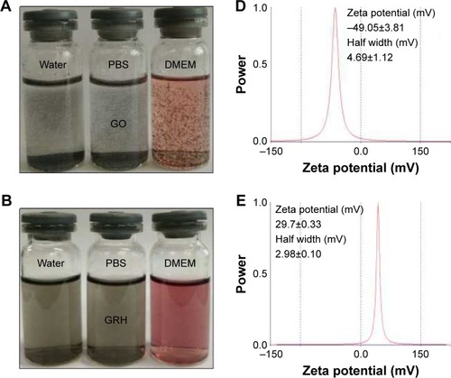 Figure 4 The dispersibility and stability of GO (A) and GRH (B), the Tyndall effect of GO and GRH (C), and the zeta potential of GO (D), GO-R8 (E), and GRH (F).