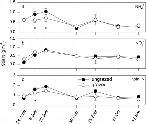 FIGURE 6. Seasonal (1999) patterns of extractable inorganic soil N in grazed and ungrazed areas of Libby Flats, Wyoming. Shown are means ± 1 SE of (a) NH4 +, (b) NO3 −, and (c) total N. Asterisks indicate significant (P < 0.05) differences between treatments at a sampling date