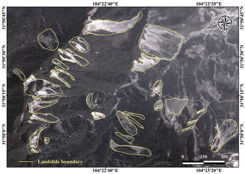 Figure 9. Examples of historical seismic landslides in the study area.