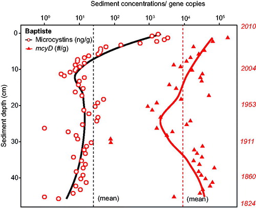 Figure 3. Baptiste Lake South (Alberta) sediment core depth profiles of total microcystins concentrations (ng/g d.w., from Zastepa et al. Citation2017b) and microcystin gene (mcyD) copy numbers/g f.w. on a logarithmic scale with corresponding dating on the right axis. Dashed vertical lines indicate mean values for both through the core. See Fig. 1A for detection limits. Solid lines in each case represent LOESS trends.