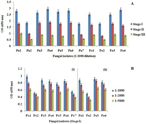 Figure 4. (A) Data of ELISA showing the variation in absorbance at 450 nm monitored in the presence of fungal proteins at different stages of disease development. (B) ELISA titration of (i) antiserum against P. aphanidermatum proteins and (ii) antiserum against F. oxysporum proteins isolated at stage I of disease development. Mean ± SD; n = 3.