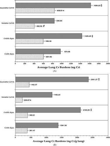 FIG. 2 Lung Cr burdens at Day 0 (i.e., pre-infection) and Day 3 of infection with Listeria. Each bar represents the average burden ([A] ng Cr; [B] ng Cr/g lung) (± SE) in the lungs of 5 (Day 0; solid bar) or 10 (Day 3; hatched bar) rats/treatment regimen. In Day 0 sets; ‡value significantly (p < 0.05) different from that in Cr(II) and soluble Cr(VI) rats. In Day 3 sets, *value significantly (p < 0.05) different from that in rats in all other groups; #value significantly (p < 0.05) different from that in Cr(II) and Cr(III) rats.