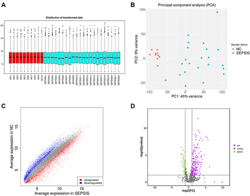 Figure 2 Data quality control and differential screening. (A) the y-axis of box plot represents logarithmicized FPKM (Fragments Per Kilobase of exon model per Million mapped fragments), also known as log10 (FPKM), and showing that the data of each sample are homogenized and distributed at the same level and are comparable; (B) PCA showing that the two groups are clearly distinguishable and there were no outliers; (C) volcano plot showing up-regulated (red) and down-regulated (blue) genes screened by differential analysis, the horizontal coordinate is the gene expression in the sepsis group and the vertical coordinate is the gene expression in the normal group; (D) volcano plot showing up-regulated (purple) and down-regulated (green) proteins screened by differential analysis, with the logarithm of the difference multiplicity (log2) as the horizontal coordinate and the negative logarithm of the p-value (log10) as the vertical coordinate.