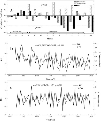 Fig. 5. Correlations and comparisons between the δ18OTR record and climate factors. (a) The correlations between the δ18OTR series and the climate factors during 1954–2009 AD; (b) The comparison of the original data between the δ18OTR series and RHJJA. (c) The comparison of the first-order data between the δ18OTR series and RHJJA.