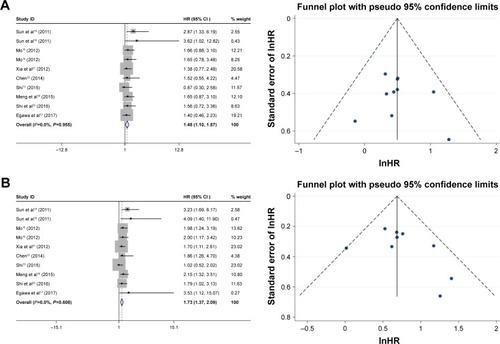 Figure 7 Forest plot and funnel plots of studies evaluating the relationship between FOXM1 expression and prognosis.