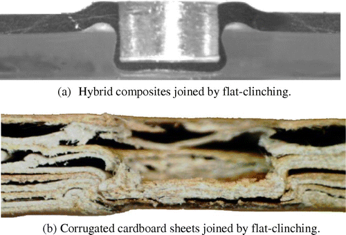 Figure 15. Cross sections of composite and cardboard sheets joined by flat-clinching [Citation185].