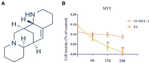 Figure 1 Structure of Aloperine and cytotoxicity assay. (A) Chemical structure of Aloperine. (B) Effects of Aloperine on cytotoxicity in EJ and SV-HUC-1 cells were determined by MTT assay. Experiments were performed at least three times with similar results. n=5; *P<0.05 and ** P<0.01 vs control group.