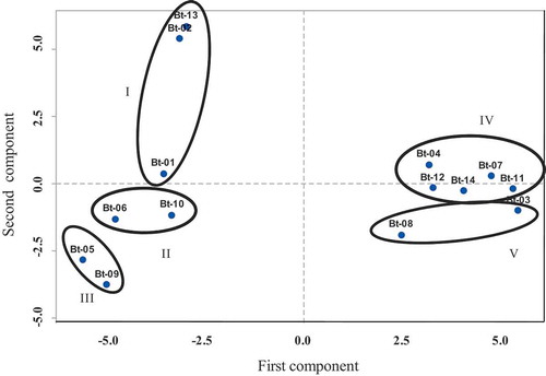 Figure 2. Two-dimensional PCA analysis of bannana accession based on 50 different morphometric markers