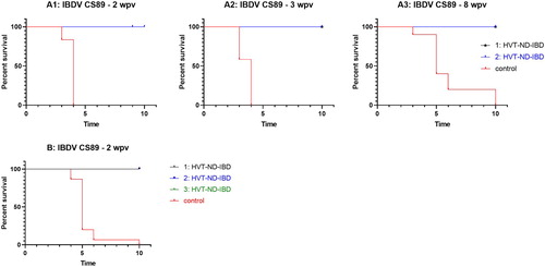 Figure 3: Survival curves after IBDV CS89 challenge. (A) Very virulent IBDV CS89 challenge 2 weeks (graph A1), 3 weeks (graph A2) and 8 weeks (graph A3) post in ovo vaccination with HVT-ND-IBD at two different doses (1: 1996 PFU/dose, 2: 3157 PFU/dose); (B) Very virulent IBDV CS89 challenge 2 weeks post SC vaccination with HVT-ND-IBD at three different doses (1: 1993 PFU/dose, 2: 2515 PFU/dose 3: 3170 PFU/dose). At the end of the observation period (day 10) the bursas of surviving birds were histologically evaluated for lesions specific for IBD and scored positive if present.