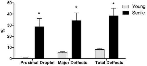 Figure 4. Sperm defects (%) in the Young and Senile groups. *Difference between groups (p < .05).