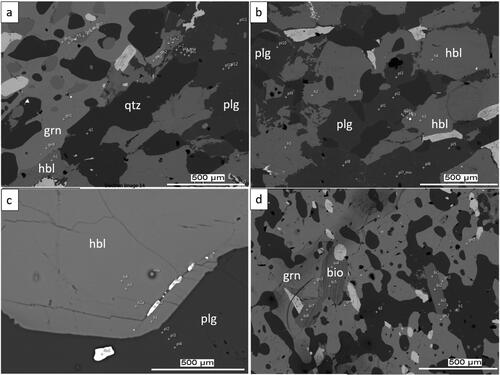 Figure 7. Representative SEM images of geobarothermometry analyses. (a) Garnet–hornblende–plagioclase–quartz (grn–hbl–plg–qtz) barometry for sample TH99 from amphibole gneiss. (b) Plagioclase–hornblende (plg–hbl) thermometry for sample TH99. (c) Plagioclase–hornblende (plg–hbl) thermometry for sample TH46 from the amphibole-rich calc-silicate unit. (d) Garnet–biotite (grn–bio) thermometry for sample TH99 from amphibole gneiss.